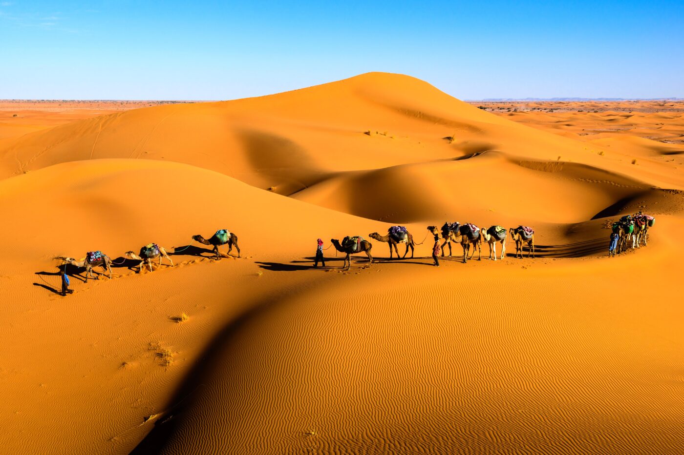 The 7 Largest Deserts in the World