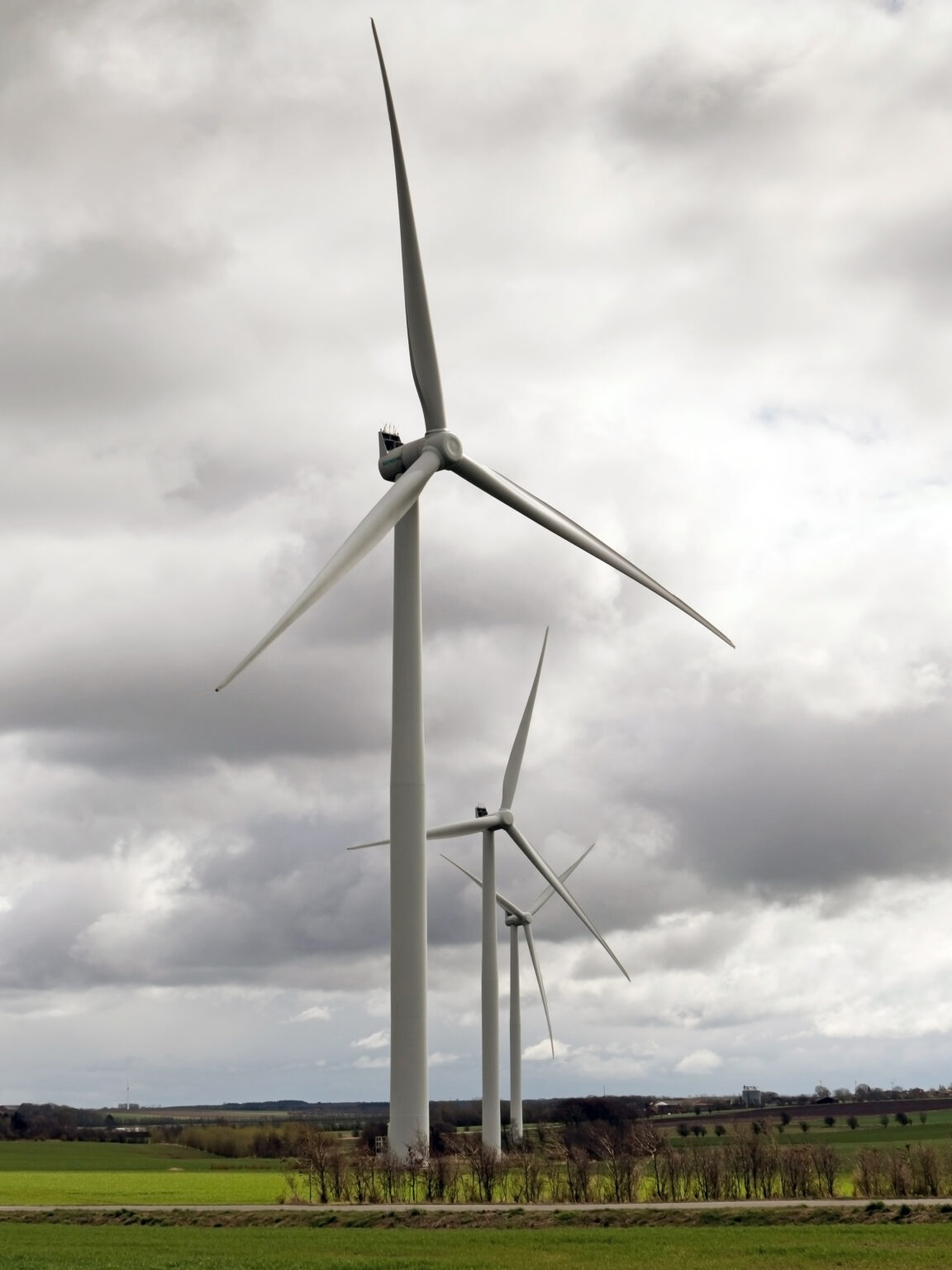 Top 6 Environmentally Friendly Countries and 3 That Miss the Mark
