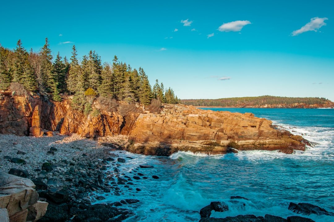 #14 - Acadia National Park, ME: Small Park, Enormous Demand (Image Credits: Unsplash)