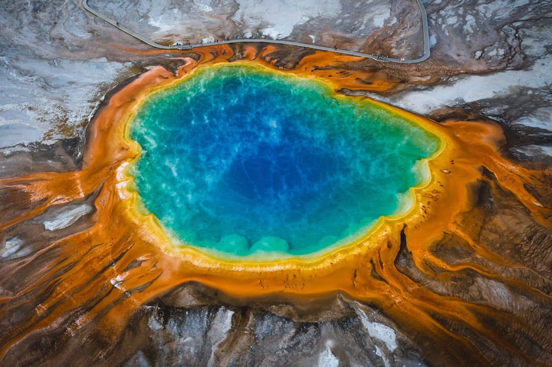 #6 - Yellowstone National Park, WY: Wildlife Jams and Gridlock Geysers (Image Credits: Unsplash)
