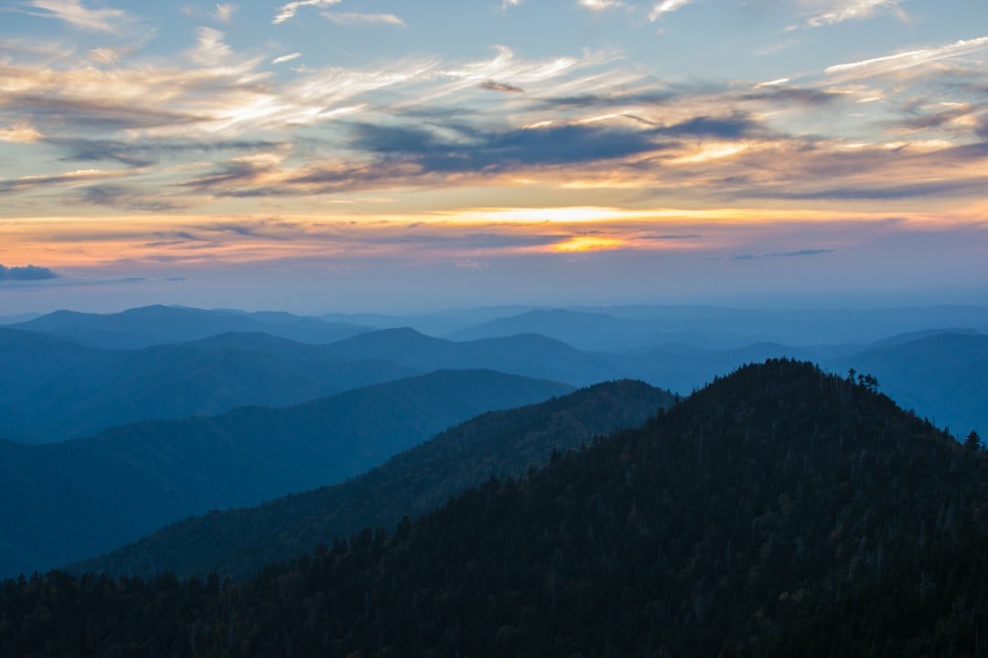 #2 - Great Smoky Mountains National Park, TN/NC: America's Most Visited Park, and It's Not Even Close (Image Credits: Unsplash)